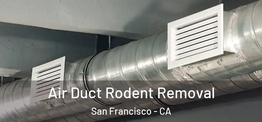  Air Duct Rodent Removal San Francisco - CA