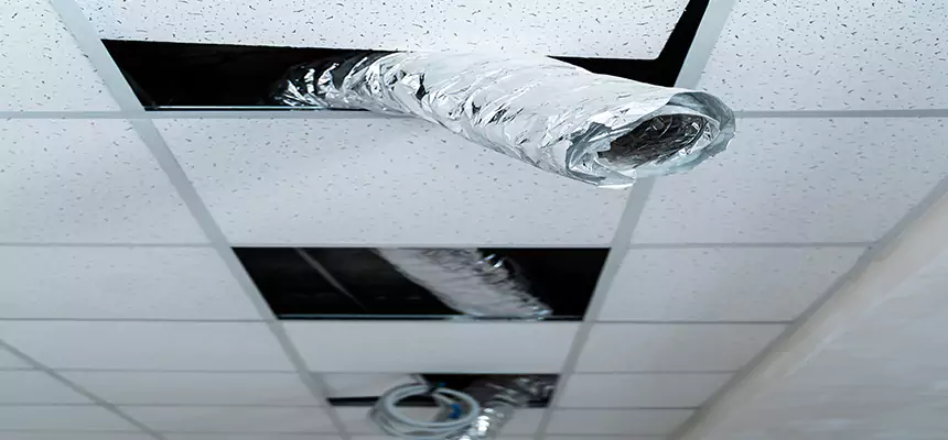 Affordable HVAC Sanitizing After Pest Removal in San Francisco