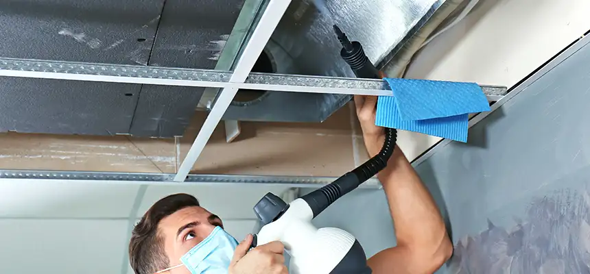 Our Air Duct Rodent Removal Services in San Francisco, CA