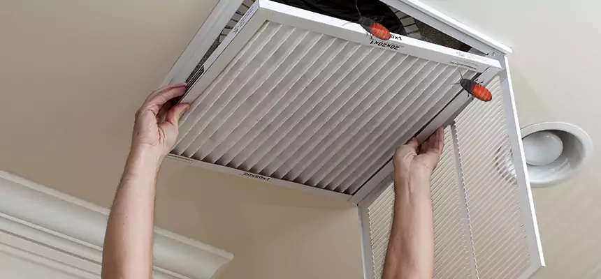 Our Insect Removal from Air Ducts Services in San Francisco, CA