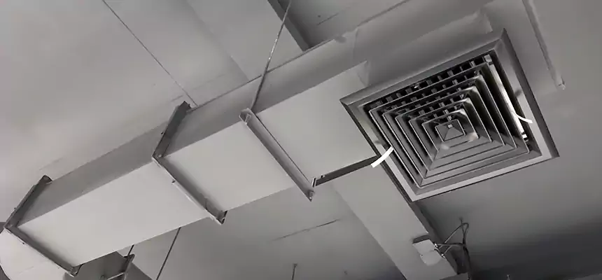 Our Pest Removal From Ducts Services in San Francisco, CA