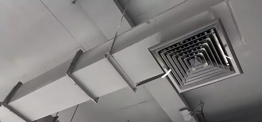 Our Rodent Droppings In Vents Services in San Francisco, CA
