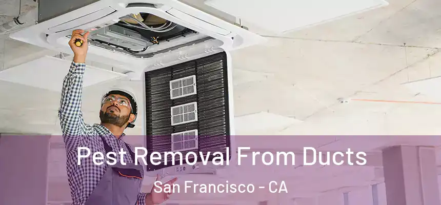 Pest Removal From Ducts San Francisco - CA