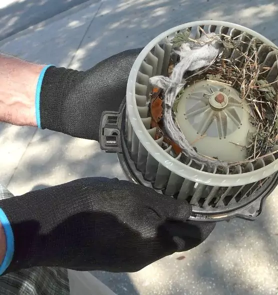 About Air Duct Mice Removal in San Francisco, CA