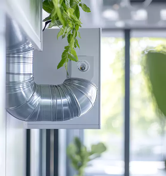 Professional Eco-Friendly Duct Cleaning Services in San Francisco, CA
