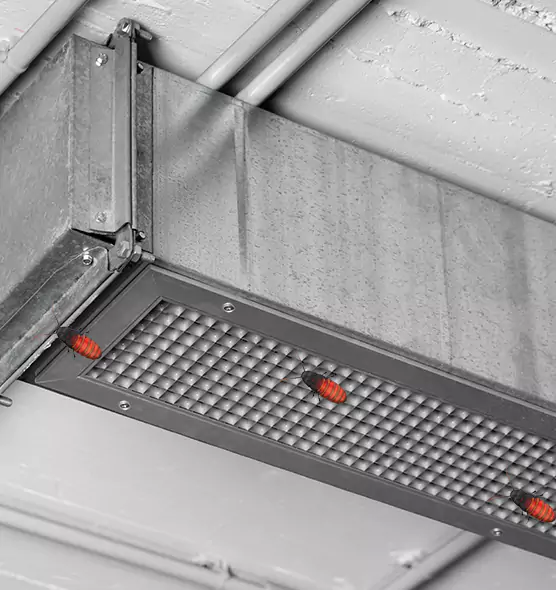 Affordable Insect Removal from Air Ducts in San Francisco, CA